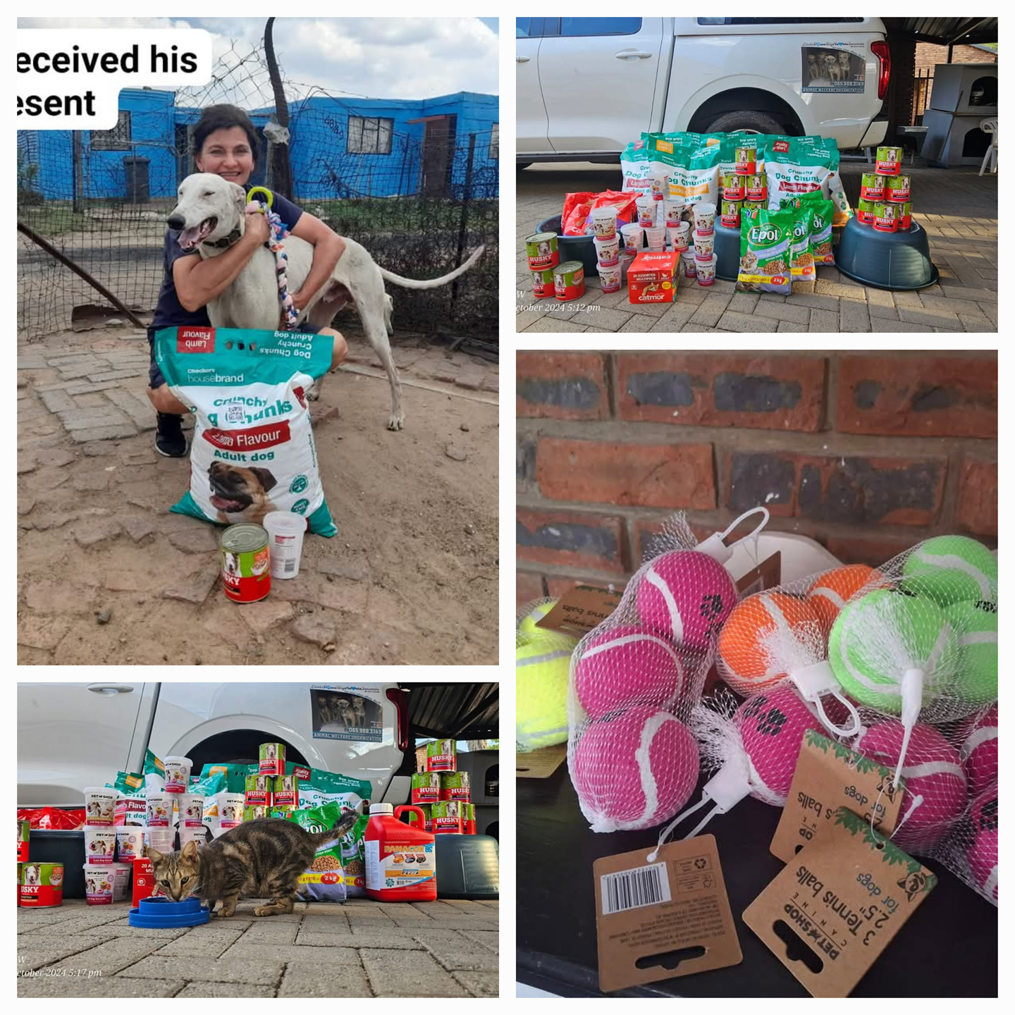 Little Paws Big Hearts Secunda